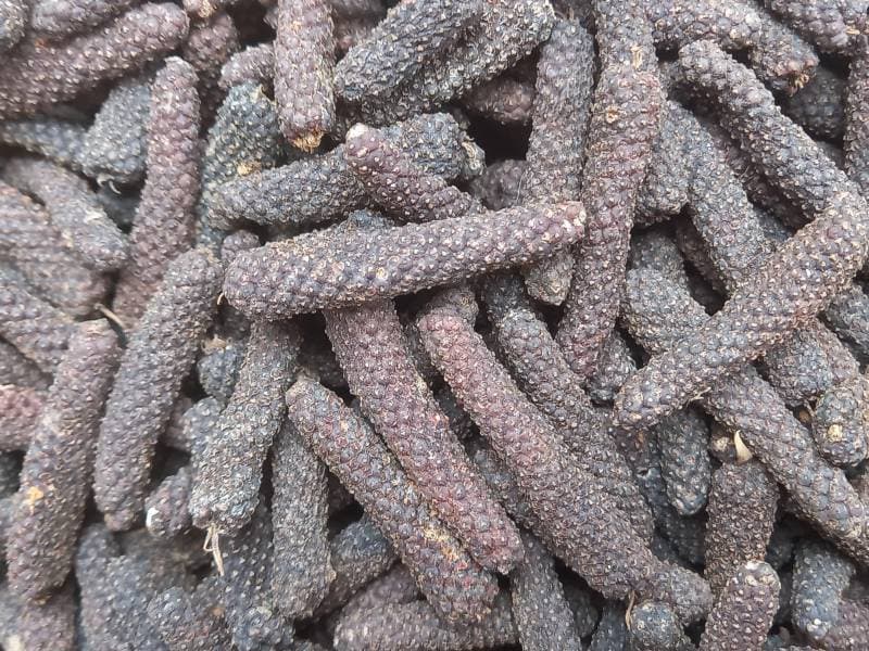 Long Pepper